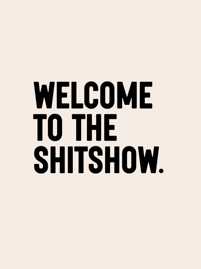 5.5x11 SLIGHTLY SNARKY trinket tray insert set of 5
