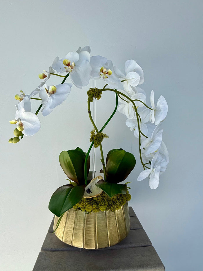 Double White Orchid in Gold Boat