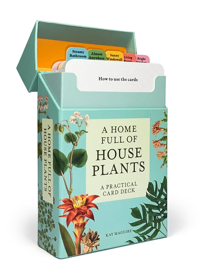 A Home Full of House Plants | The Plant Boys