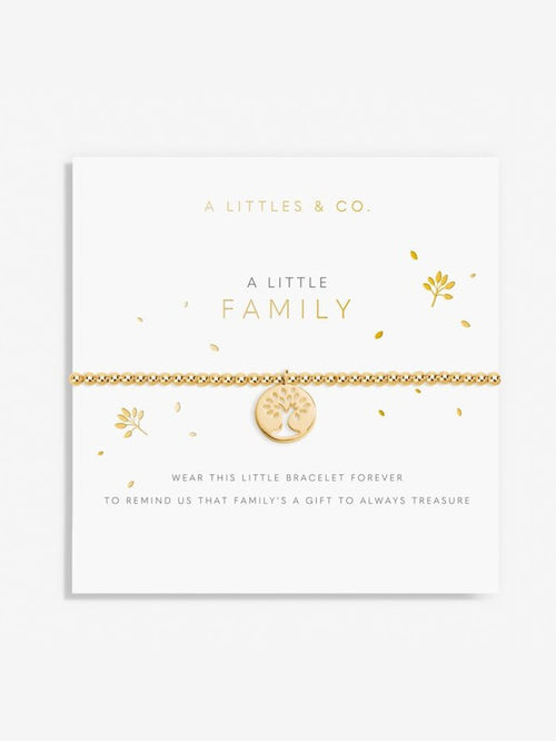 A Little Family