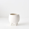 Alena Pot | The Plant Boys