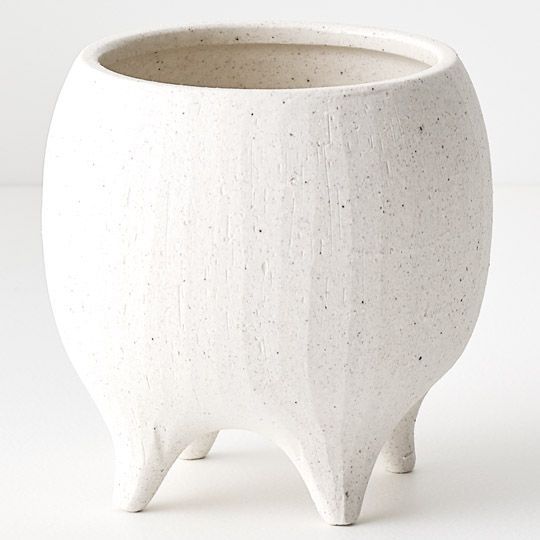 Alena Pot | The Plant Boys