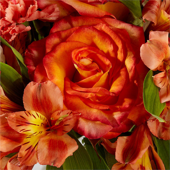 Apricot Glow Bouquet – BUEHLER'S FLORAL, Wooster OH