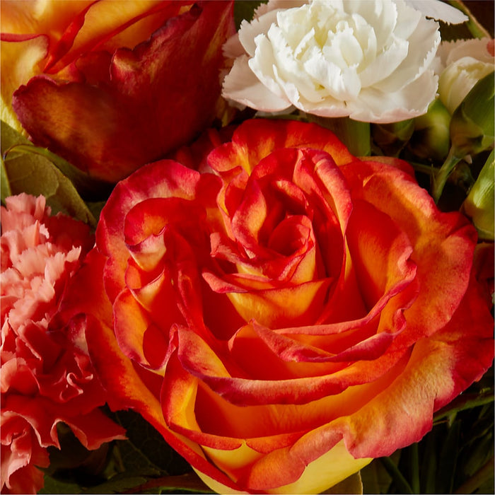 Apricot Glow Bouquet – BUEHLER'S FLORAL, Wooster OH