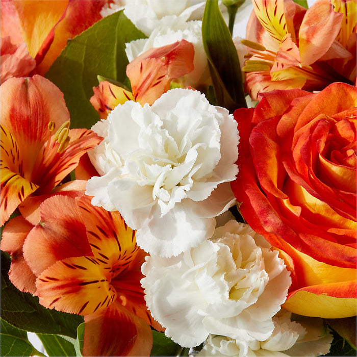 Apricot Glow Bouquet – BUEHLER'S FLORAL, Wooster OH