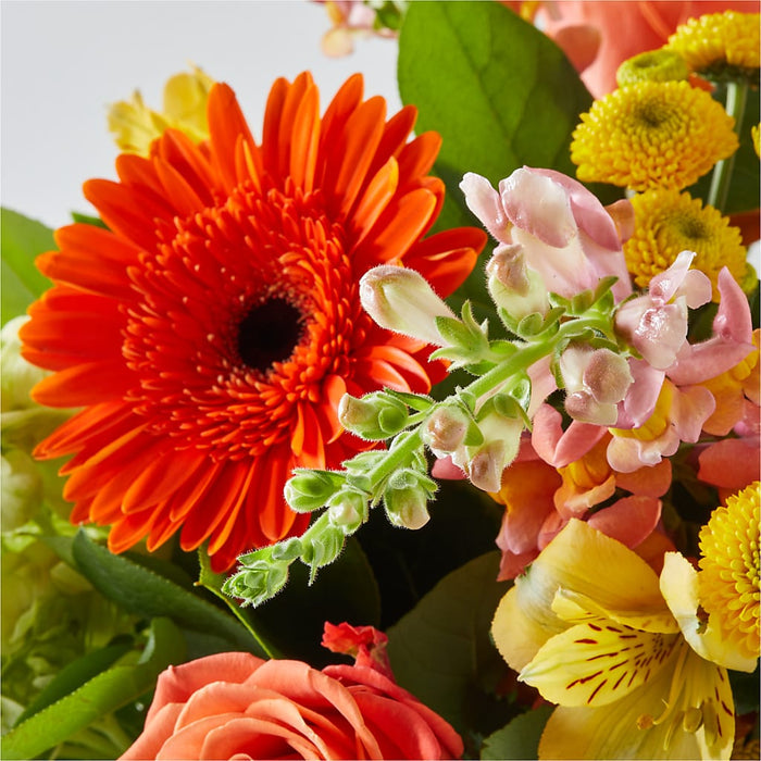 Autumn Sunshine Bouquet – BUEHLER'S FLORAL, Wooster OH