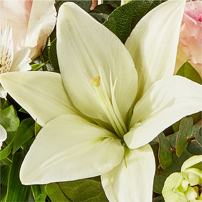 Ballet Slippers Bouquet – BUEHLER'S FLORAL, Wooster OH