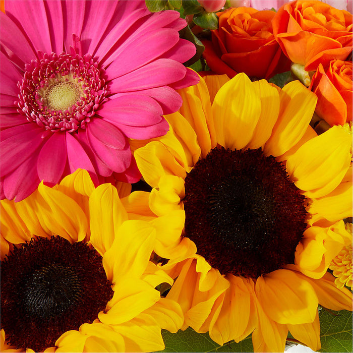 Beach Day Bouquet – BUEHLER'S FLORAL, Wooster OH