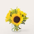 Beaming Sunflower Bouquet – BUEHLER'S FLORAL, Wooster OH