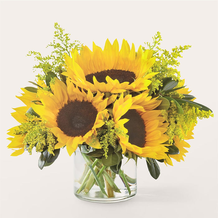 Beaming Sunflower Bouquet – BUEHLER'S FLORAL, Wooster OH