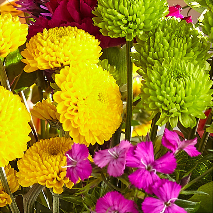 Bold & Bright – A Florist Original – BUEHLER'S FLORAL, Wooster OH