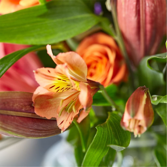 Bold & Bright – A Florist Original – BUEHLER'S FLORAL, Wooster OH