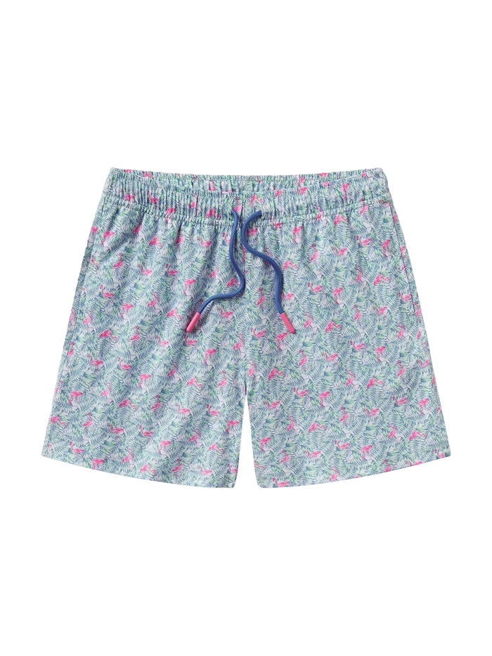 Boys Lets Flamingle Swim Shorts