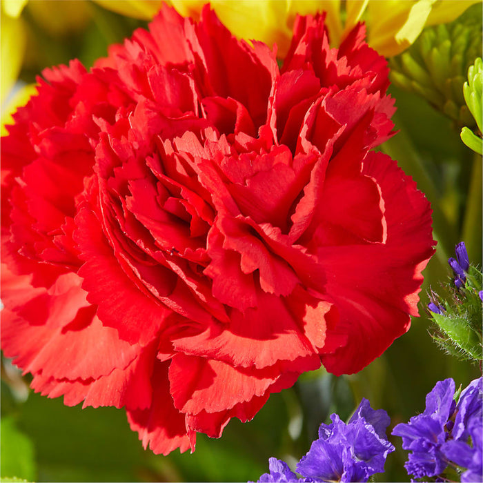 Brighter Days Bouquet – BUEHLER'S FLORAL, Wooster OH