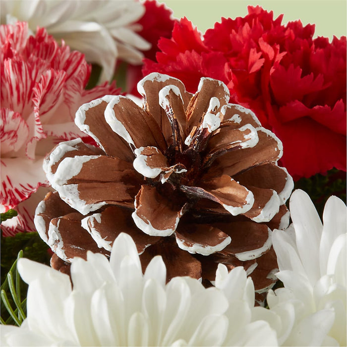 Candy Cane Lane Bouquet – BUEHLER'S FLORAL, Wooster OH