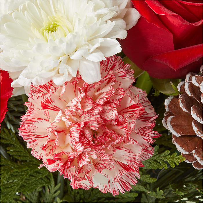 Candy Cane Lane Bouquet – BUEHLER'S FLORAL, Wooster OH