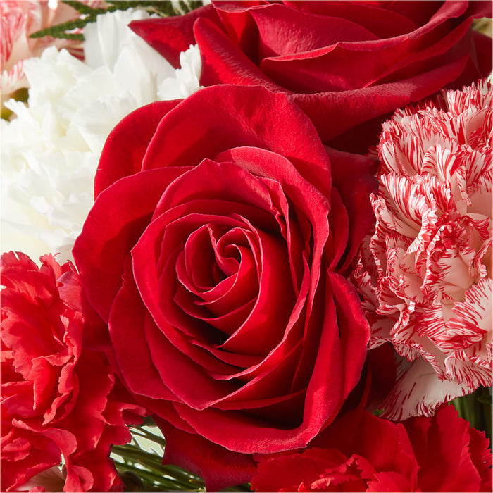 Candy Cane Lane Bouquet – BUEHLER'S FLORAL, Wooster OH