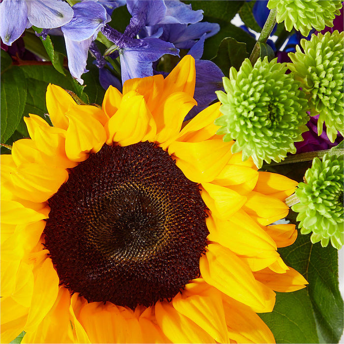 Catching Rays Bouquet – BUEHLER'S FLORAL, Wooster OH