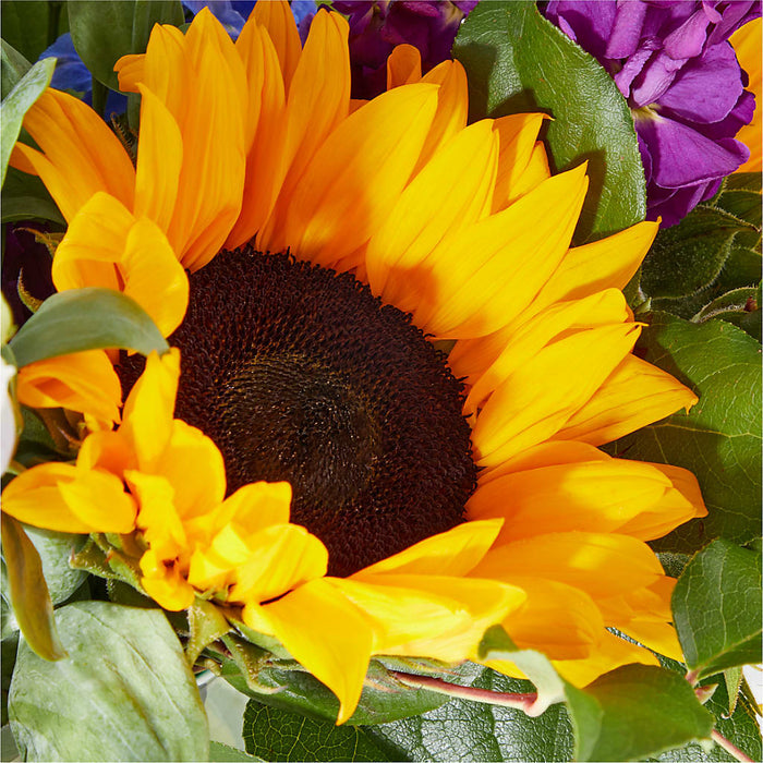 Catching Rays Bouquet – BUEHLER'S FLORAL, Wooster OH