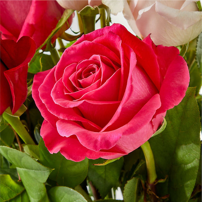 Charming Rose Bouquet – BUEHLER'S FLORAL, Wooster OH