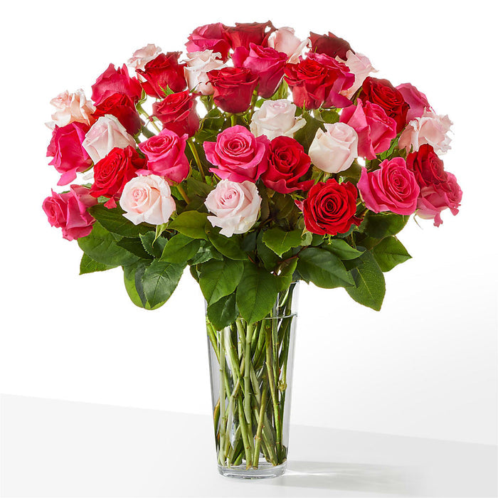 Exquisite - 36 Roses