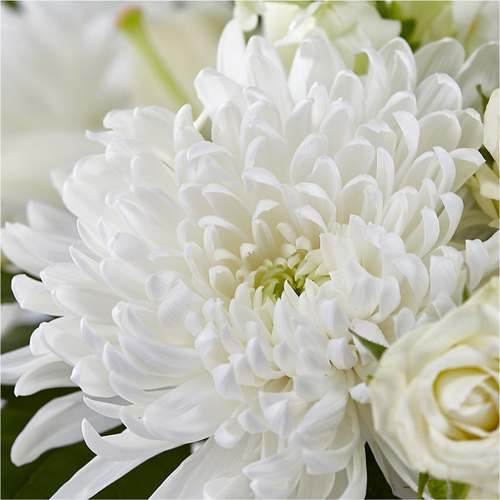 Classic Ivory – A Florist Original – BUEHLER'S FLORAL, Wooster OH