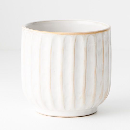 Clovelly Pot | The Plant Boys