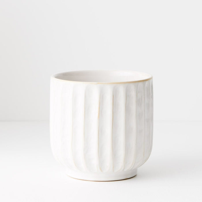 Clovelly Pot | The Plant Boys