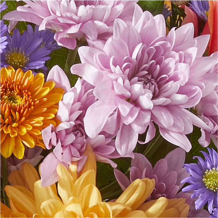 Countryside Bouquet – BUEHLER'S FLORAL, Wooster OH