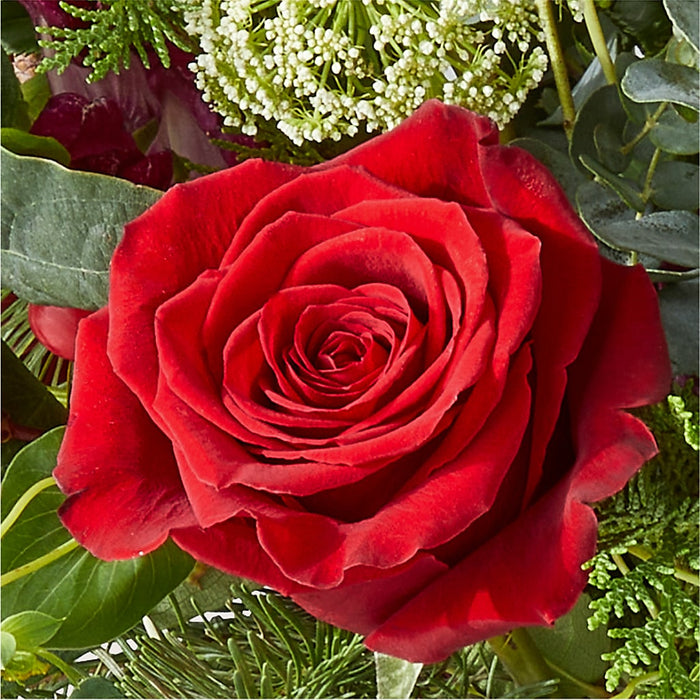 Cranberry Fizz Bouquet – BUEHLER'S FLORAL, Wooster OH