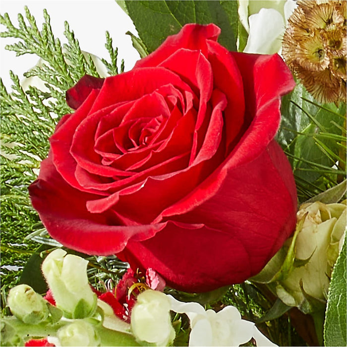Deck the Halls Bouquet – BUEHLER'S FLORAL, Wooster OH