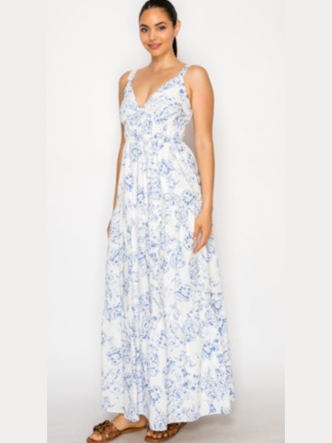 Delos Porcelain Maxi Dress