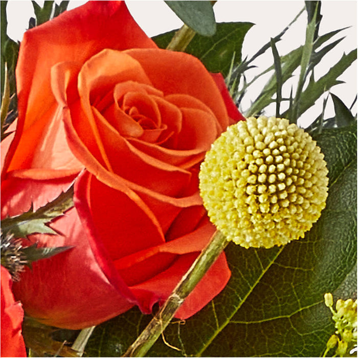 Disco Bouquet – BUEHLER'S FLORAL, Wooster OH