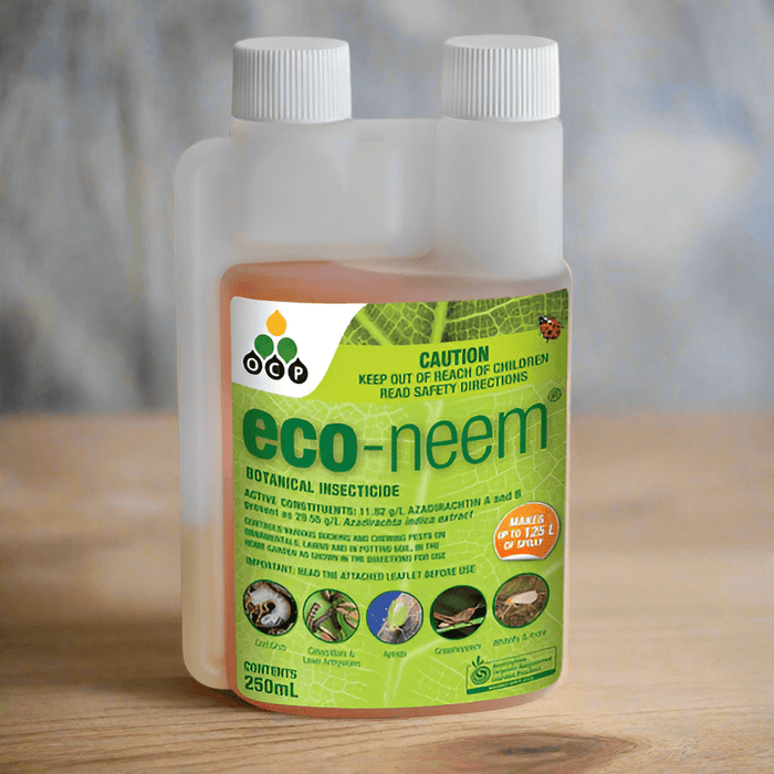 Eco Neem Oil | The Plant Boys