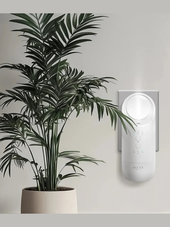 Elevate Scent Diffuser Set