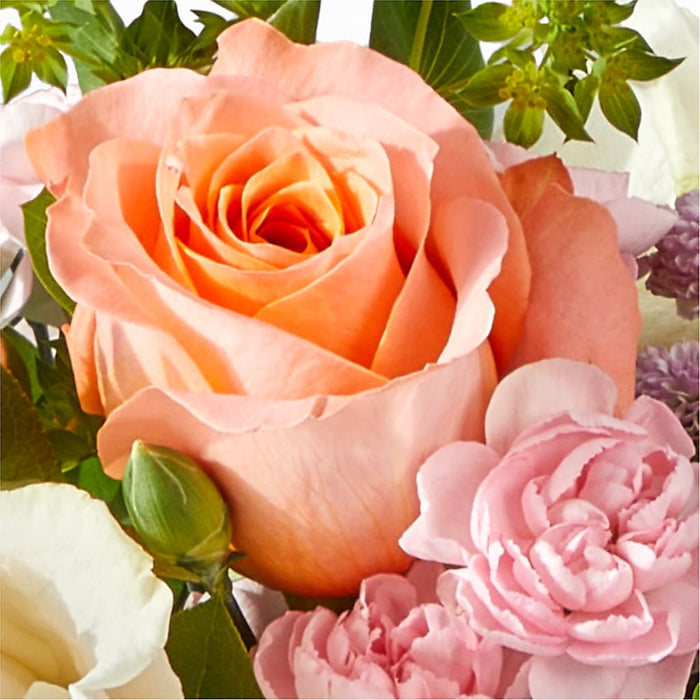 French Market Bouquet – BUEHLER'S FLORAL, Wooster OH