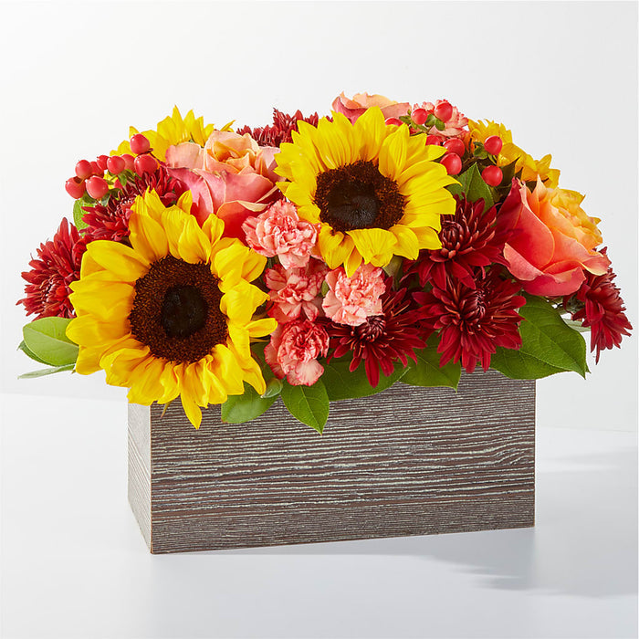 Fresh Cider Bouquet – BUEHLER'S FLORAL, Wooster OH