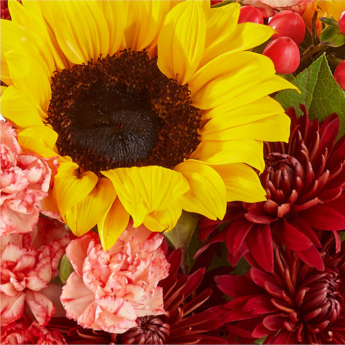 Fresh Cider Bouquet – BUEHLER'S FLORAL, Wooster OH