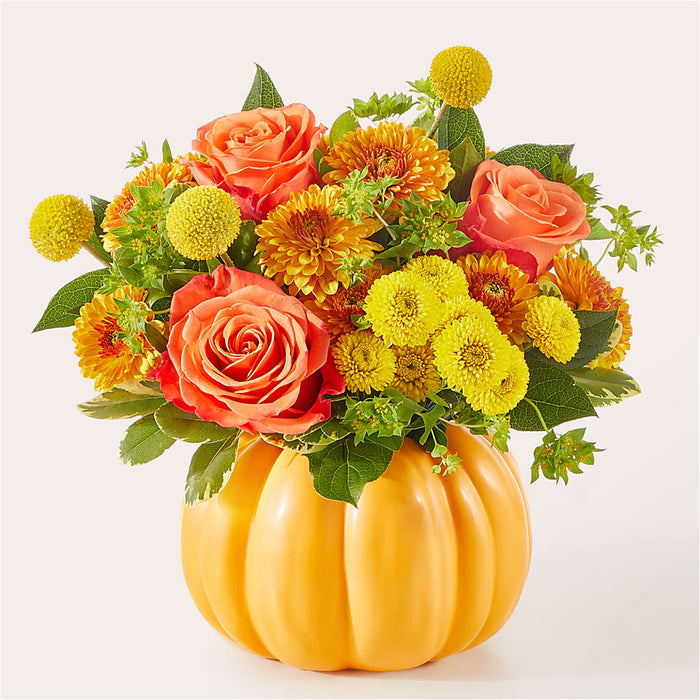 Gourdgeous Pumpkin – BUEHLER'S FLORAL, Wooster OH
