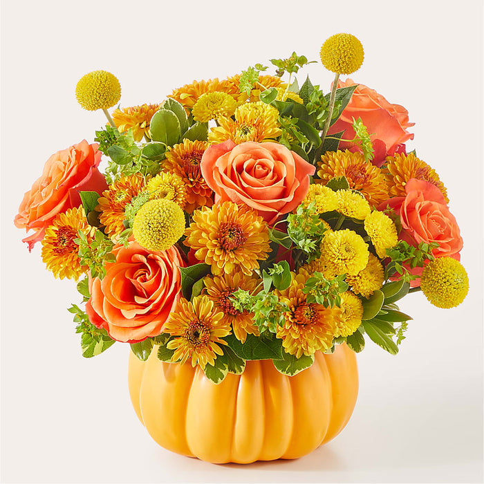 Gourdgeous Pumpkin – BUEHLER'S FLORAL, Wooster OH