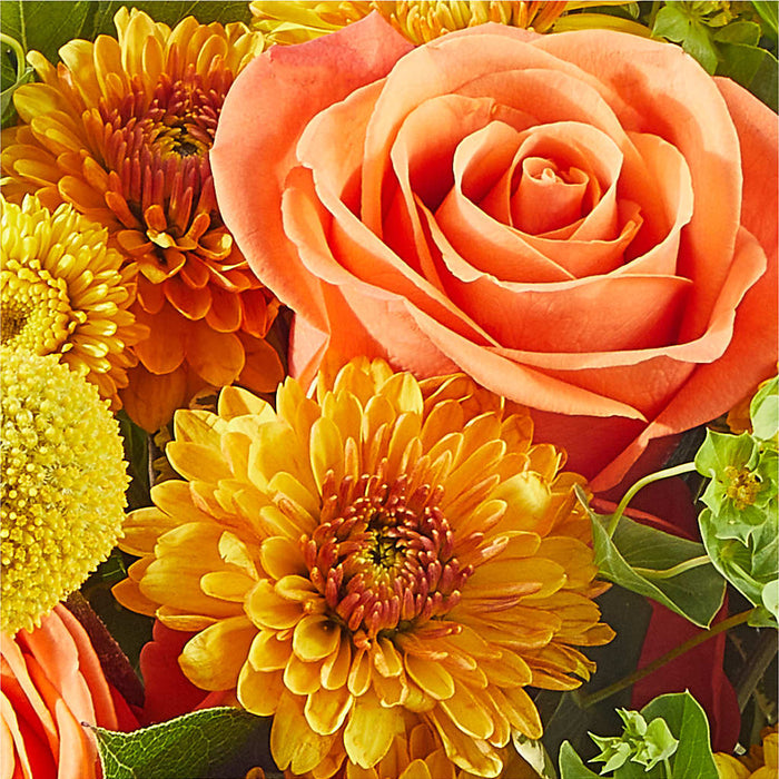 Gourdgeous Pumpkin – BUEHLER'S FLORAL, Wooster OH