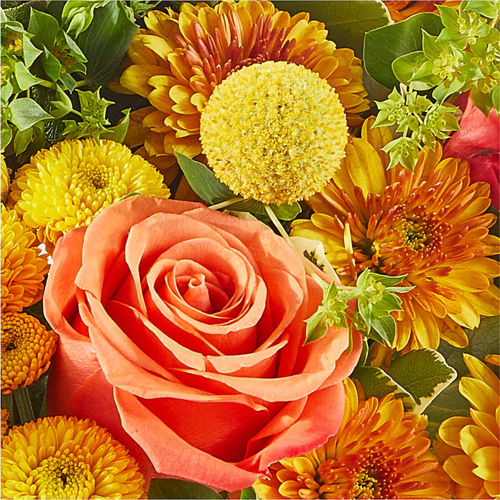 Gourdgeous Pumpkin – BUEHLER'S FLORAL, Wooster OH