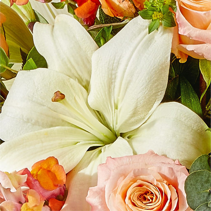 Grapefruit Splash Bouquet – BUEHLER'S FLORAL, Wooster OH