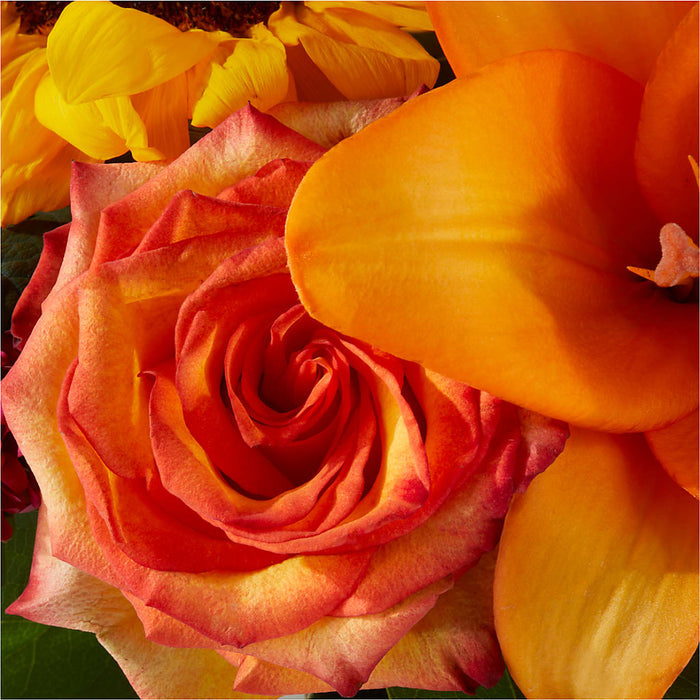 Grateful Centerpiece – BUEHLER'S FLORAL, Wooster OH