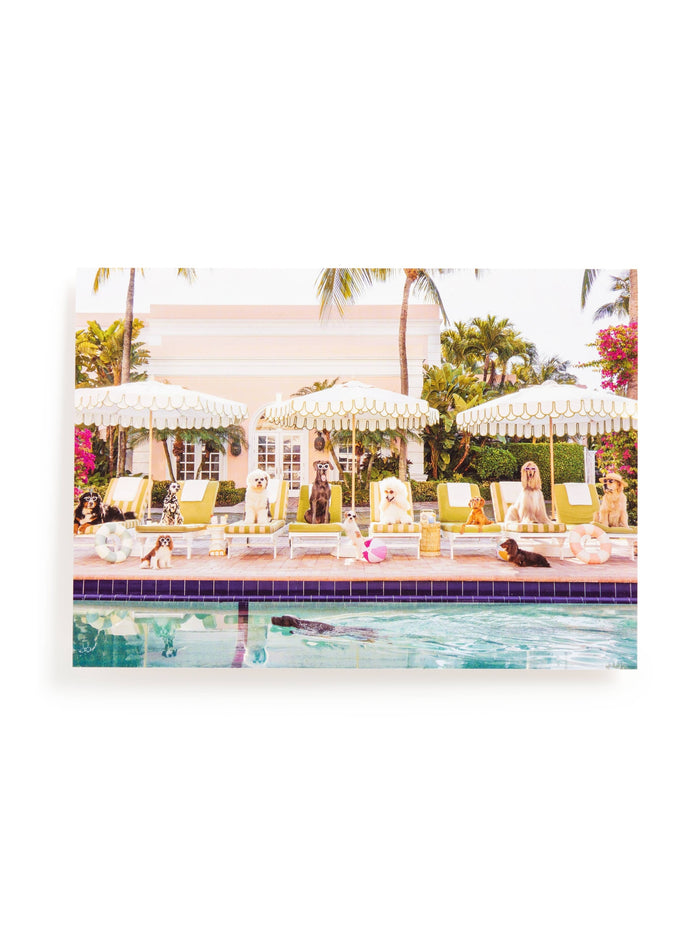Gray Malin Palm Beach 1000 Piece Book Box Puzzle