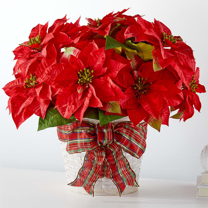 Happiest Holidays Poinsettia – BUEHLER'S FLORAL, Wooster OH
