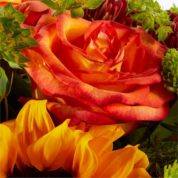 Harvest Festival Bouquet – BUEHLER'S FLORAL, Wooster OH