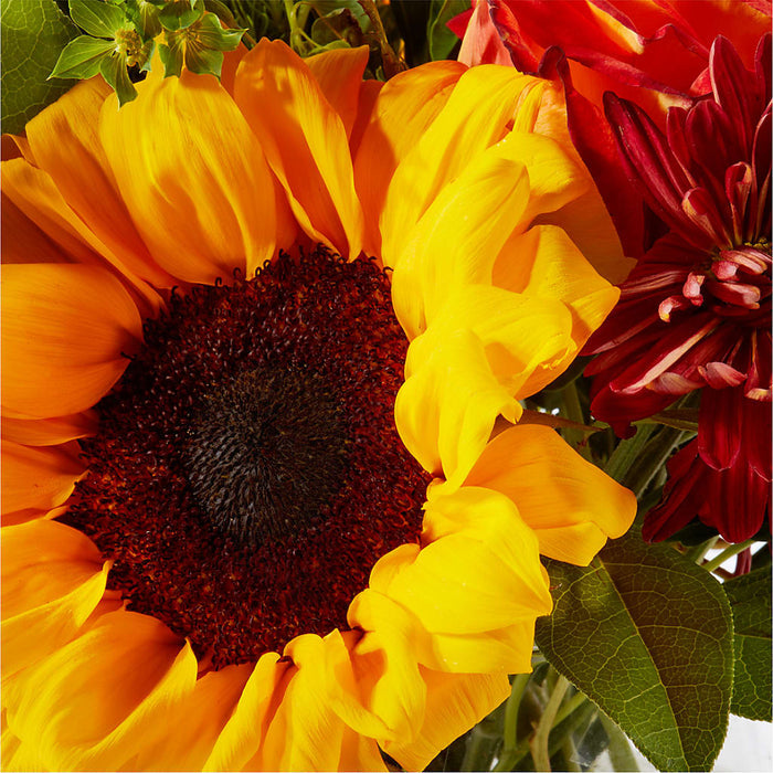 Harvest Festival Bouquet – BUEHLER'S FLORAL, Wooster OH