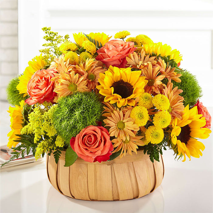 Harvest Sunflower Basket – BUEHLER'S FLORAL, Wooster OH