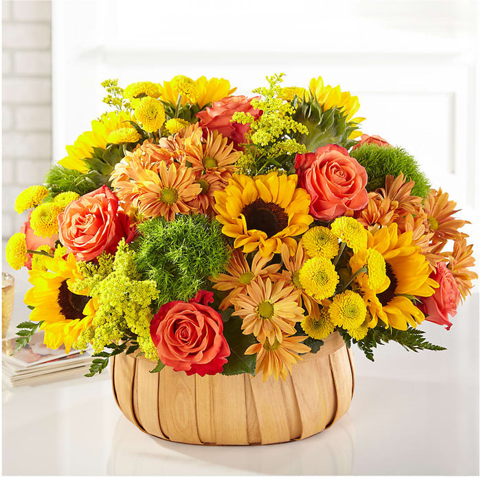 Harvest Sunflower Basket – BUEHLER'S FLORAL, Wooster OH